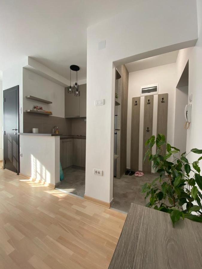 Vist 1 Apartman Belgrade